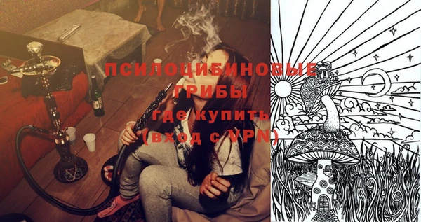 мдпв Абдулино